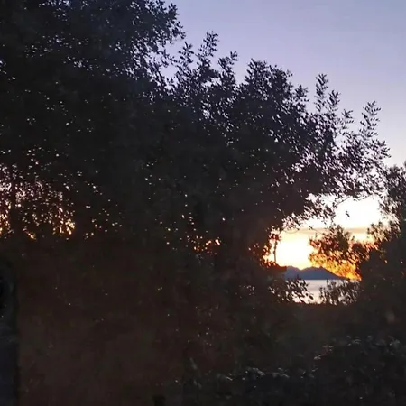 Jamm Mare E Monti * オレビック